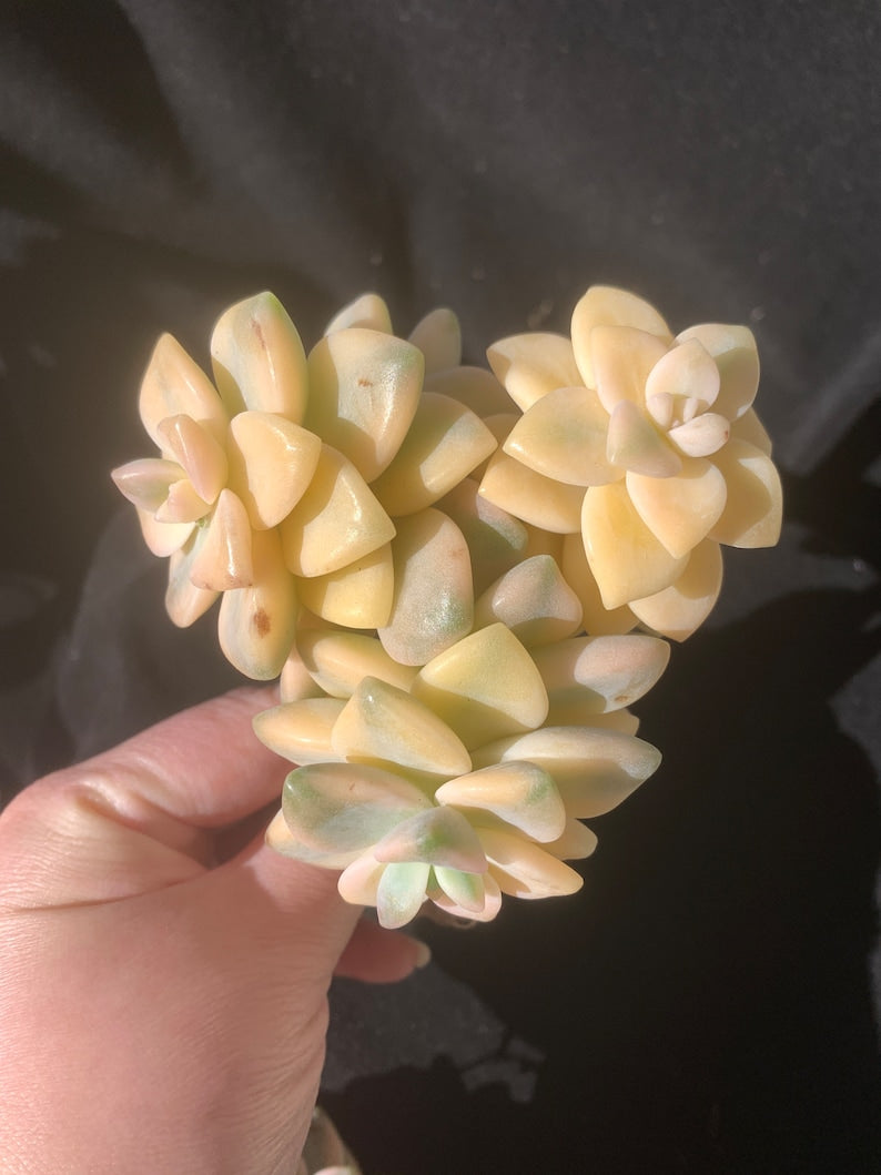 34878624-b30a-4cb8-b6d4-4a1d2a594884