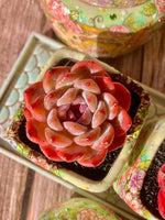 56db09c3-09c3-4ee6-8227-f9e35b37a0cd