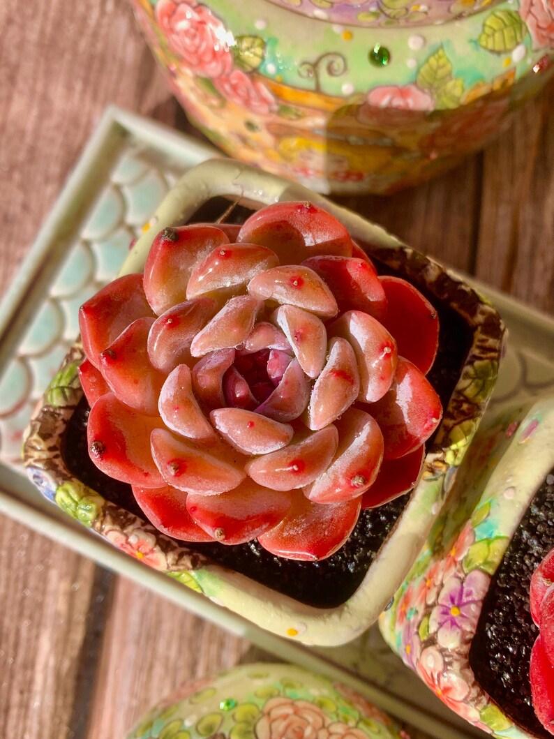 56db09c3-09c3-4ee6-8227-f9e35b37a0cd