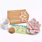 c2227a25-0b2b-420d-bd88-ba22c262db65