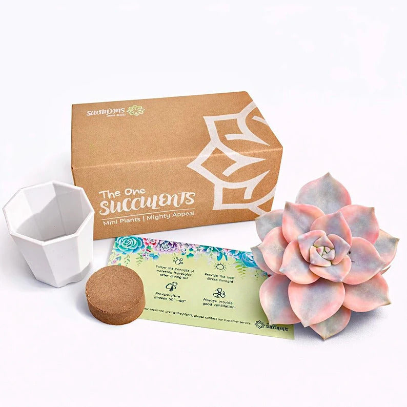 c2227a25-0b2b-420d-bd88-ba22c262db65