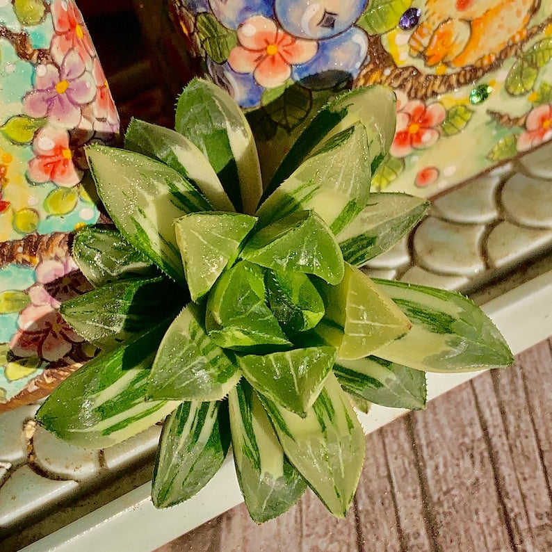 a362c319-dec9-47b1-8ff5-4afb0794aa39