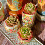 19b6d62a-fd2f-461b-b563-4e103ee22578