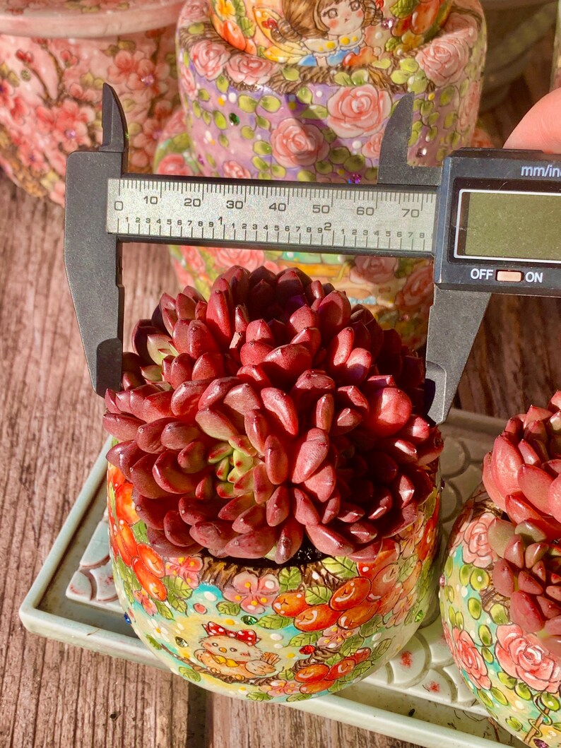 a1f53664-83f3-46ae-afe1-7ef5a9095da7