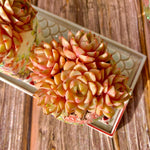 649f718b-7564-45db-89fe-20c62bde744d