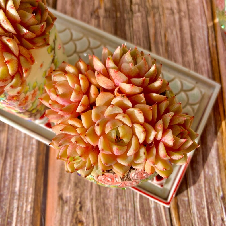 649f718b-7564-45db-89fe-20c62bde744d