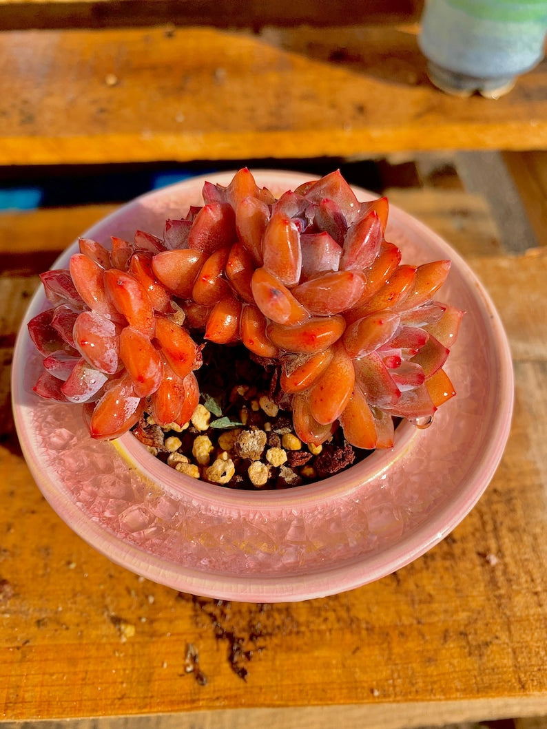 b12f7a53-0e9e-4b0d-a831-73b0a47a82ae