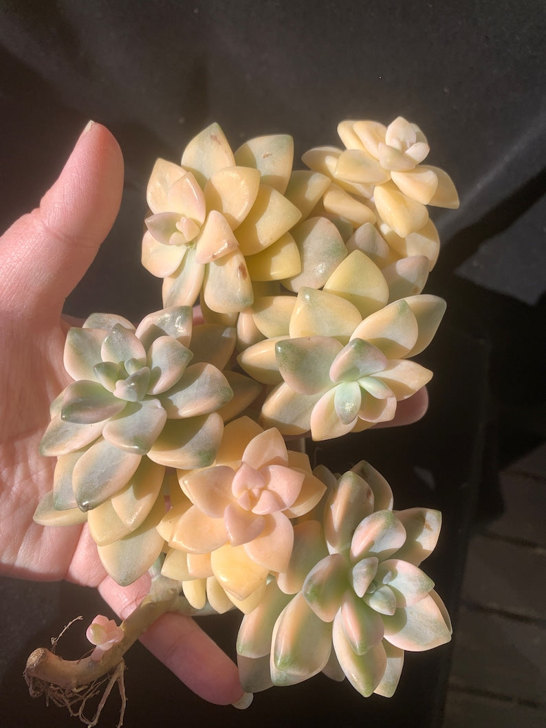 73a4bf01-c20e-4bf8-8bd8-98c12e67db09