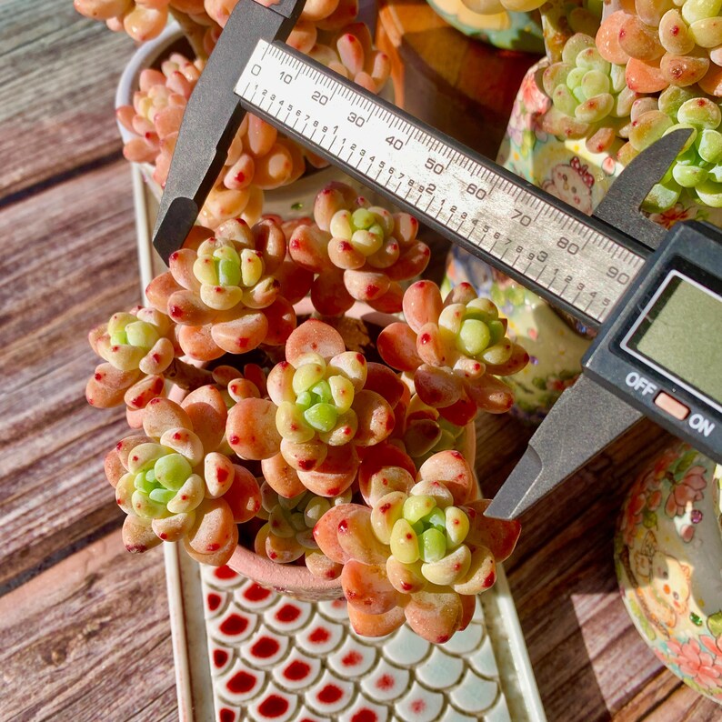 79e22252-c33b-452c-9b88-7a0ddf54e402