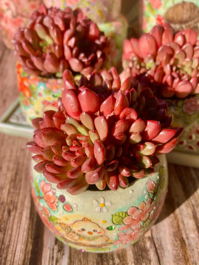 3d1d1965-4963-4dd1-8dfe-eb3edd24d231