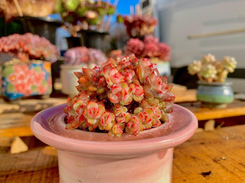 b69cc74c-3578-46a7-8f9c-5b6667a9c12f