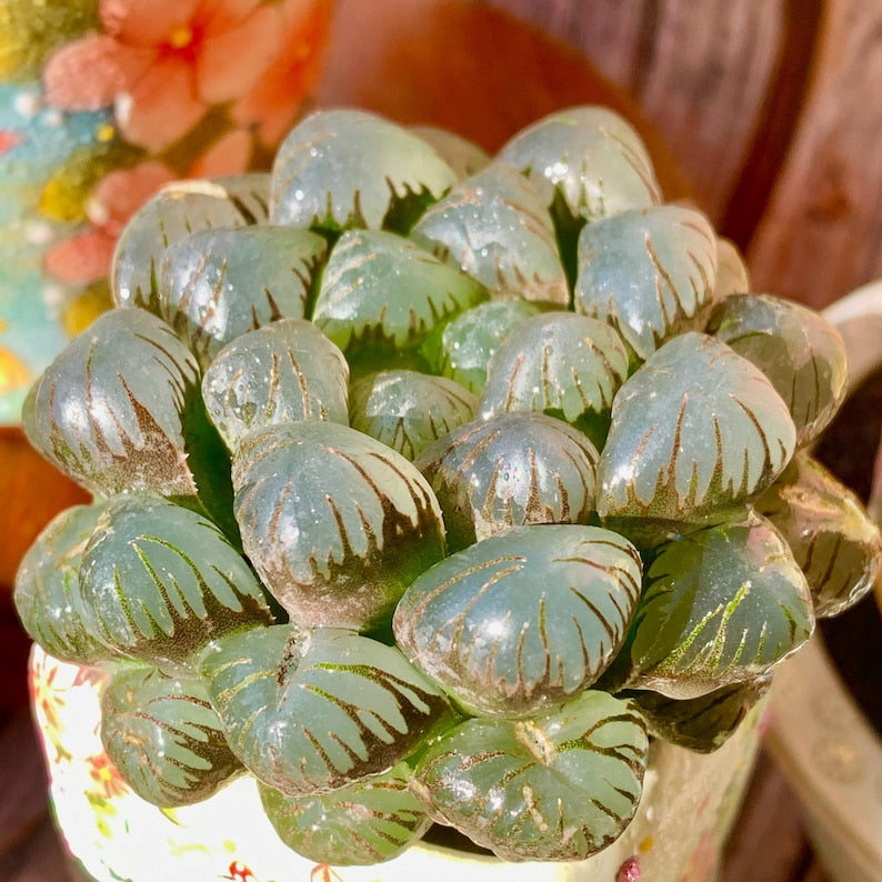 4aaefa02-13a8-4c29-adf8-28e5b687192f