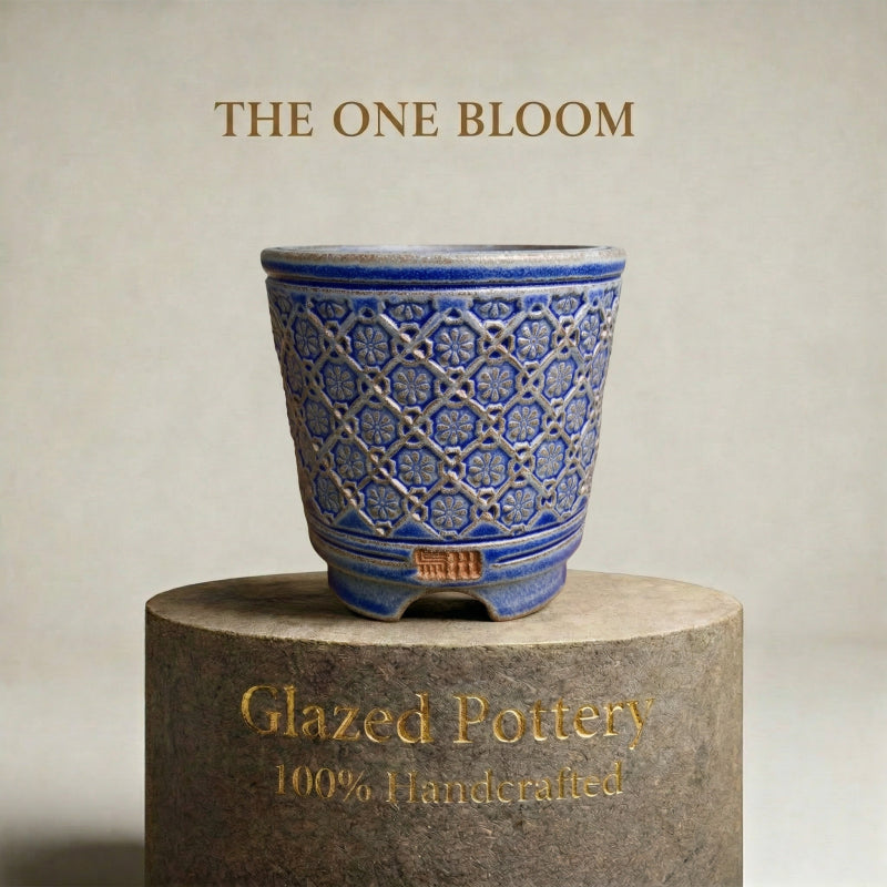 4245b1fc-bfff-47f1-8ee6-f8aed41ccfb8