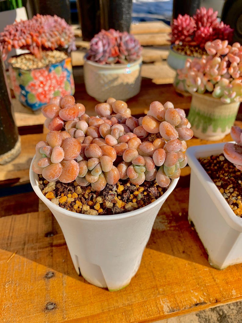 ab03ae97-72ac-4c23-bcc2-30dcddfca5cb