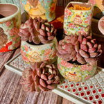 31d1a8d3-7161-4e7f-9893-60719d7bb21c