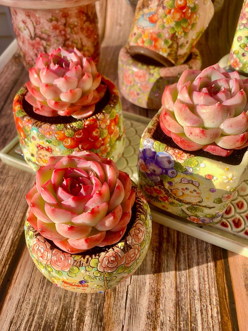 782649a4-023c-40ae-a781-94396fba2064