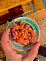 4c6d1fb2-79b7-4710-8369-36548d870bf8