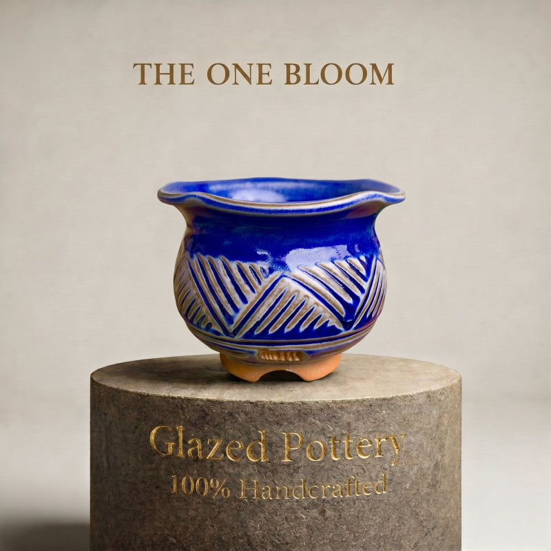 1f867994-7234-4fb6-964c-e471b47f9568