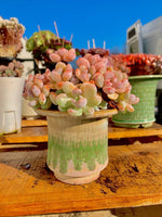 2d070934-f187-4f93-afdf-c27d1d822491