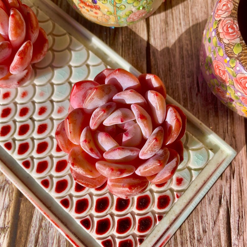 711b87a1-c813-43bd-a8fd-e1b806958eaf