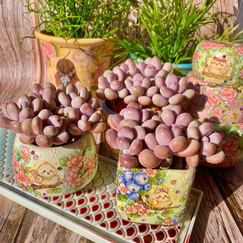 172a386d-57b9-4954-bccf-79bdb49d1ab3