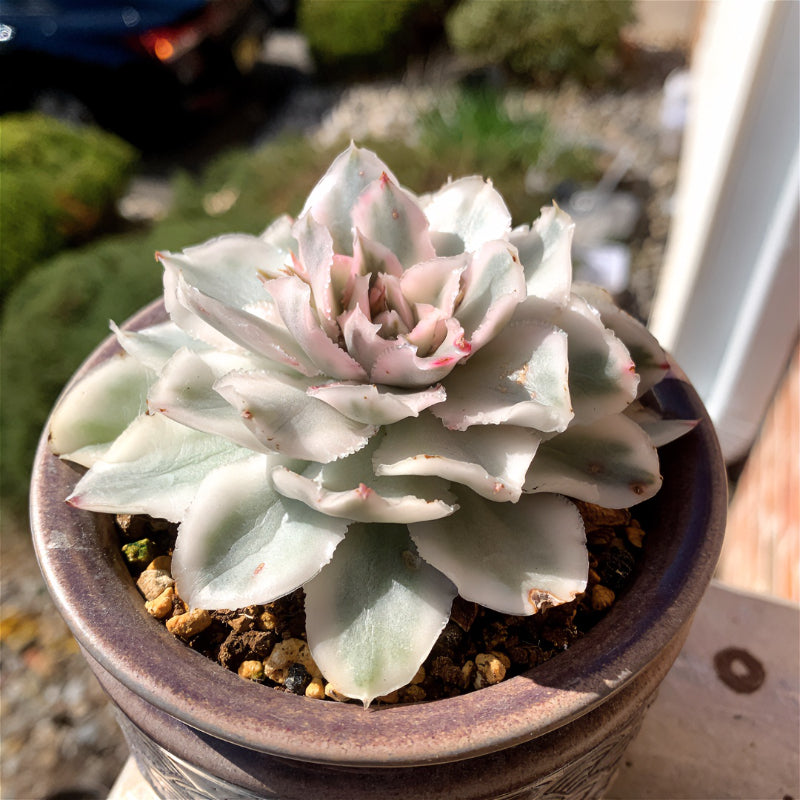 c1864c2a-4d15-46d1-bb9d-2e88c6005fbd