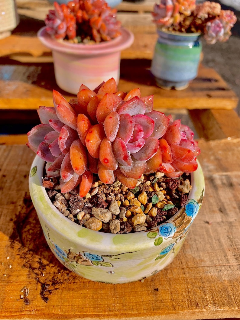 5dfa5676-a2f4-460c-aae4-c0d27744d228