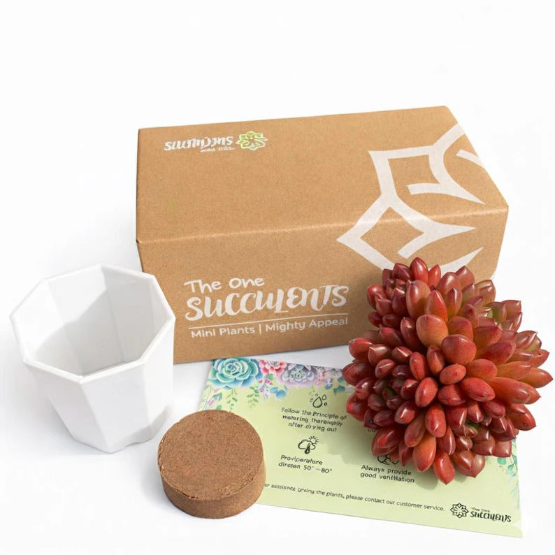 e668c96b-9ac8-4225-ada3-20afb2797492