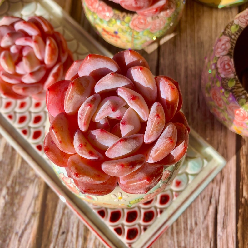 f3ea1ae9-2522-47c3-abd8-b80946e18ec5