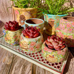 4041bf52-3f5b-4088-8999-67c30628bd9d