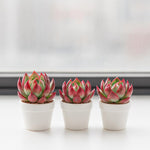 902e3713-af74-48fe-8f1b-fac615c5d92e