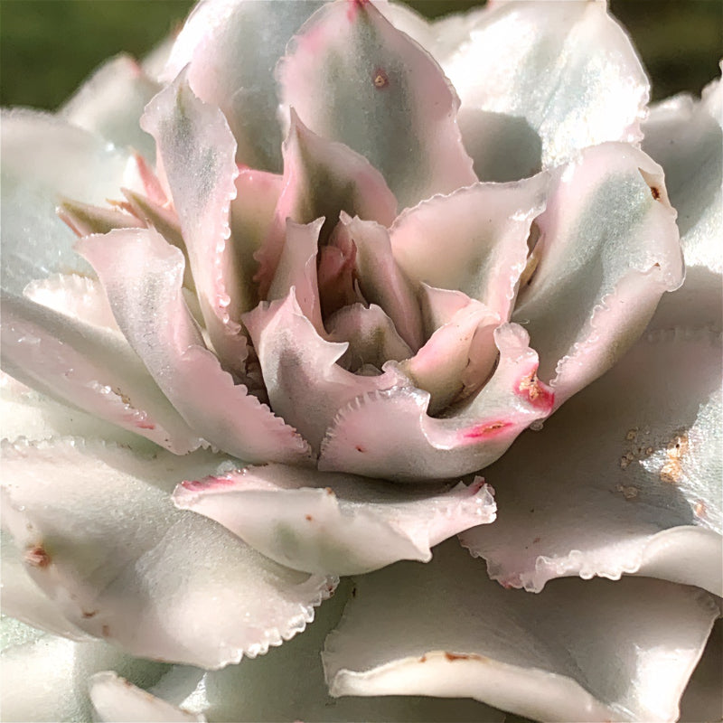 daabc4cf-e1fb-4599-9f3c-578726351779