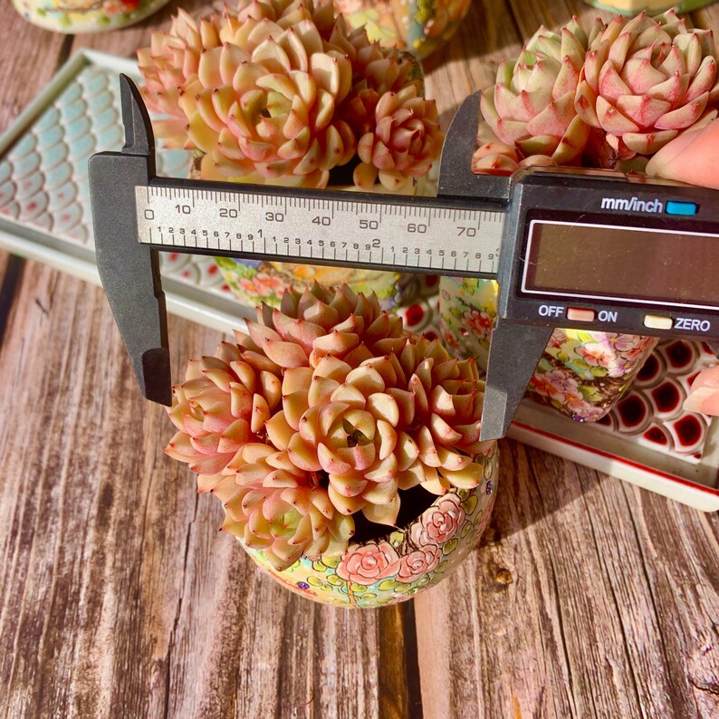 986bb218-41ba-41e1-83a4-391561aaf7ee