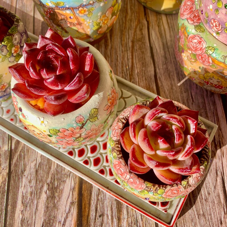 ede87621-4b2a-49db-8d2e-4a39ea4b4a37