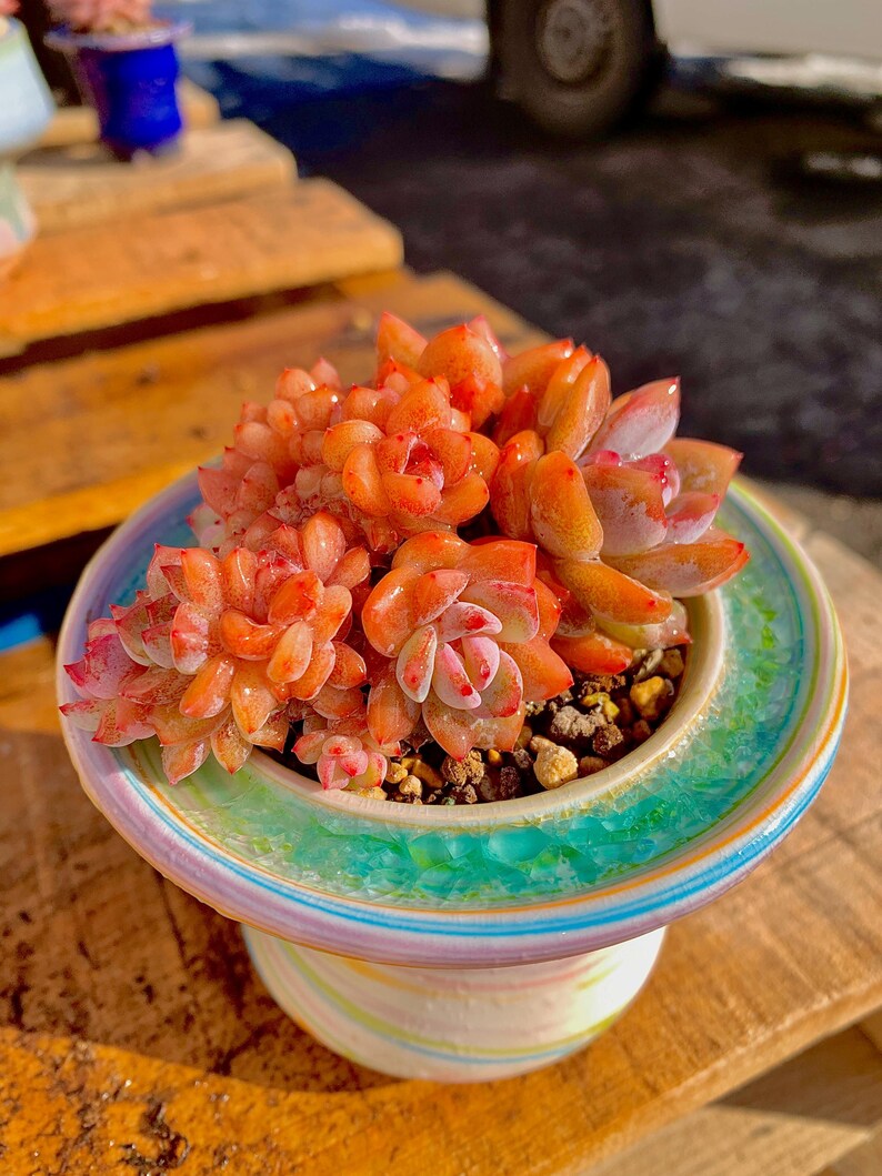 73a1d796-a324-466f-8adb-fcb5d0fbb2e2