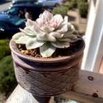 c57648a5-c657-40c4-8915-5a855757b28b