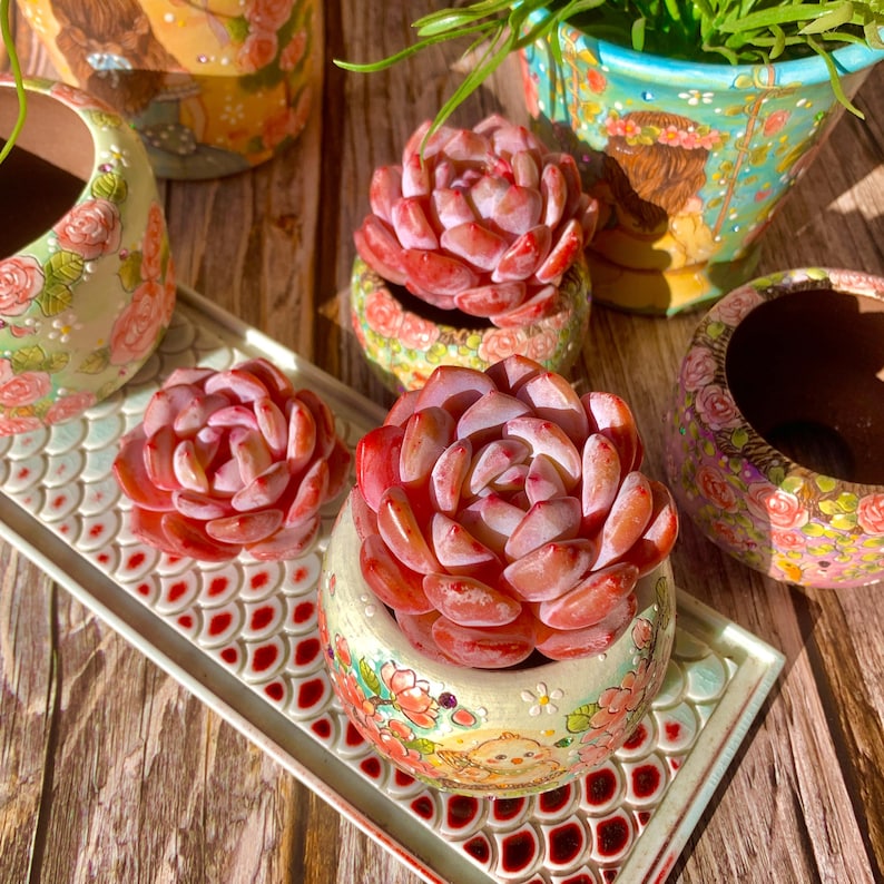 6f8534f2-8a02-4e86-a4ce-962533796a18