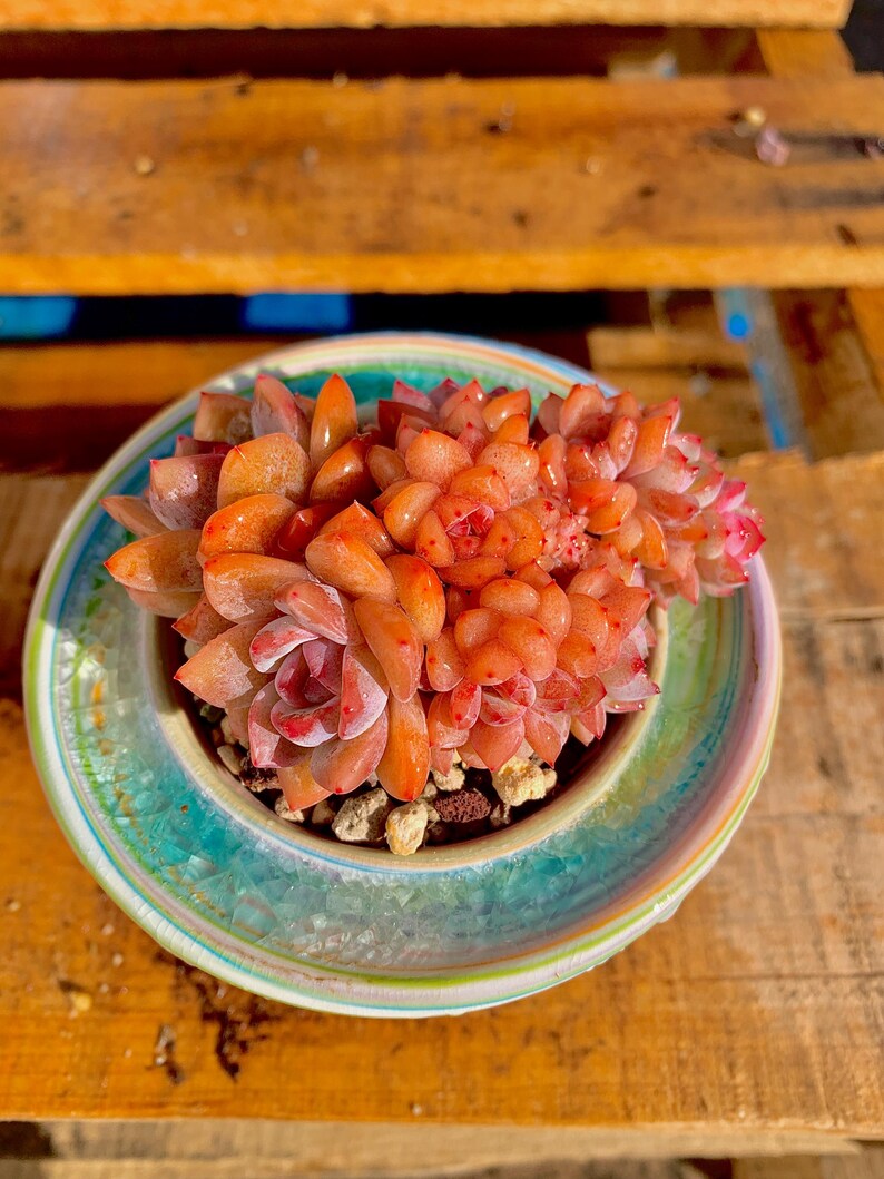 963ed6d6-9e3b-4820-b7d8-eadd315ed137