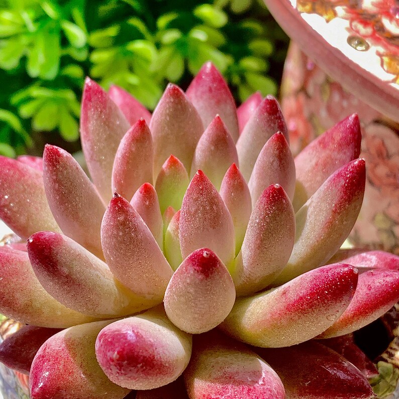 9cb870d2-0b22-4f34-b14e-380c3d355d0e