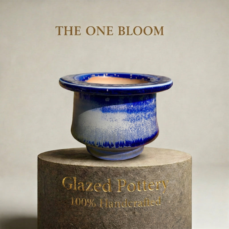 bed25107-16d9-48a5-81c3-35dfa9942caf