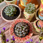 fa3adfe9-5500-448d-9102-de5229900df6