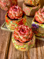 0efc789d-76a9-441f-8510-f090c8c6e729