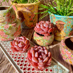 3b720416-cae2-4196-ad00-ba57f9a423d7