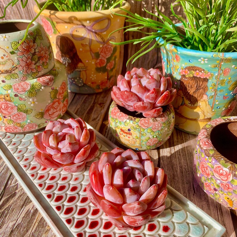 3b720416-cae2-4196-ad00-ba57f9a423d7