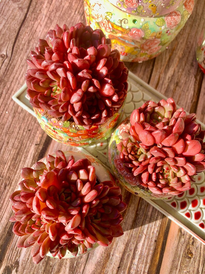 978124b2-d4d4-4730-bf2c-1374698b837b