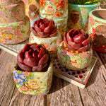 8b2f9841-6195-4065-95f0-d9b05b08f218