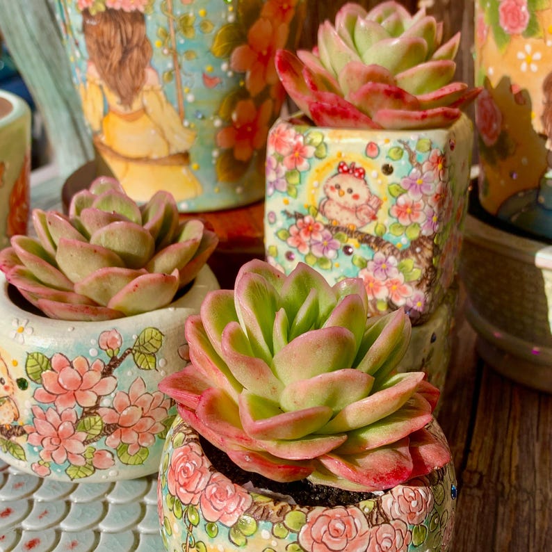 cabba2d3-9c72-4d8e-b6f4-e246f6d2b730