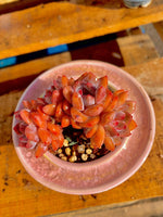 d7a15345-ee5c-4483-87fb-1e9a7a9a15e7