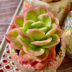 2b460724-02fd-4eaf-8f9d-0b4884d20522