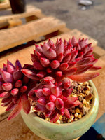 eadbc376-67d9-49e4-9c2c-65aad904fd63